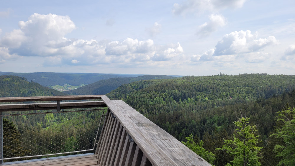 View over the Black Forest Germany
